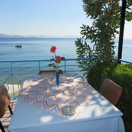 Blue Sky 시로피가도